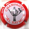 RAYMOND JOEL N°5 ROUGE