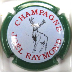 RAYMOND JOEL N°4B VERT