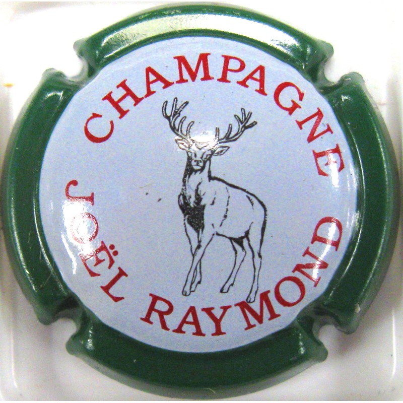 RAYMOND JOEL N°4B VERT