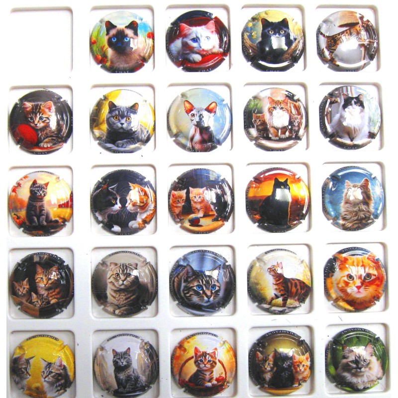 GENERIQUES LES CHATS DE 1/24 A 24/24