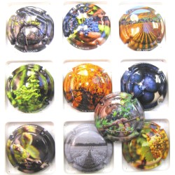 GENERIQUES LA VIGNE AU FIL DES SAISONS