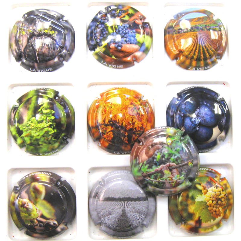 GENERIQUES LA VIGNE AU FIL DES SAISONS