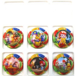 CHEMIN ROGER DARBY LA SERIE DE 6 CAPSULES