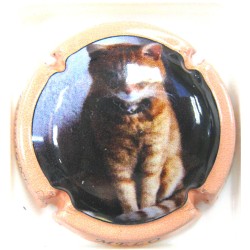 FRANCINET-REMY CHAT MELO CT SAUMON