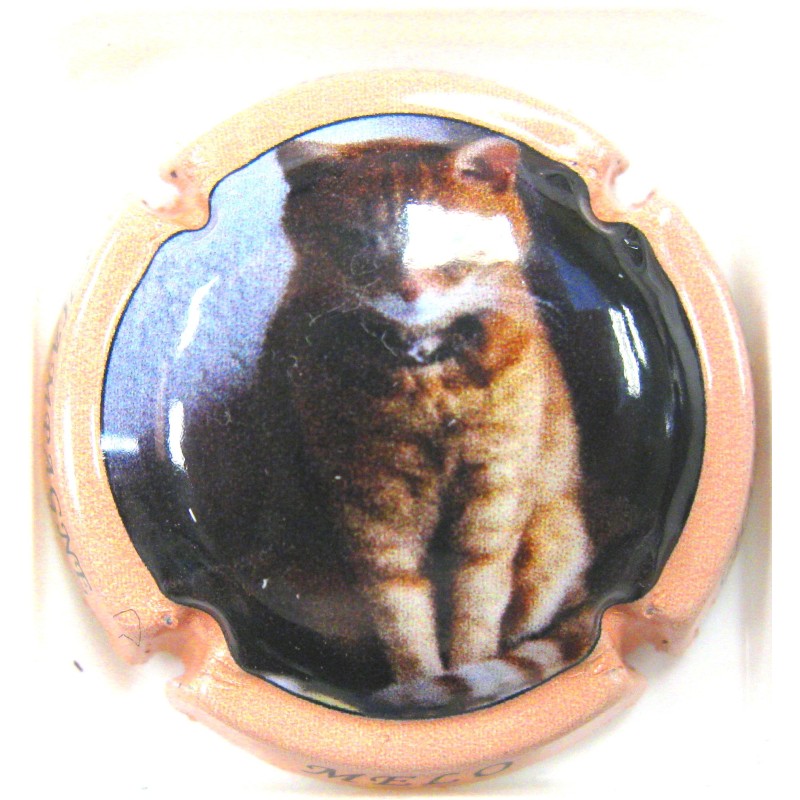 FRANCINET-REMY CHAT MELO CT SAUMON