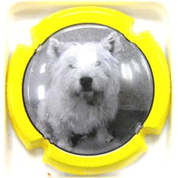 REMY-UZAC JAMES N°25 CONTOUR JAUNE