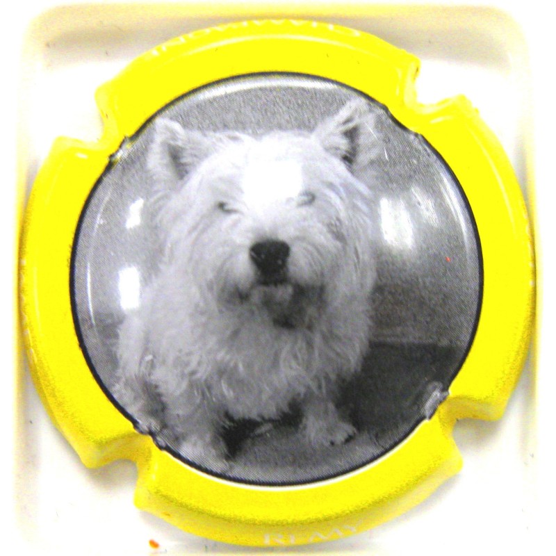 REMY-UZAC JAMES N°25 CONTOUR JAUNE