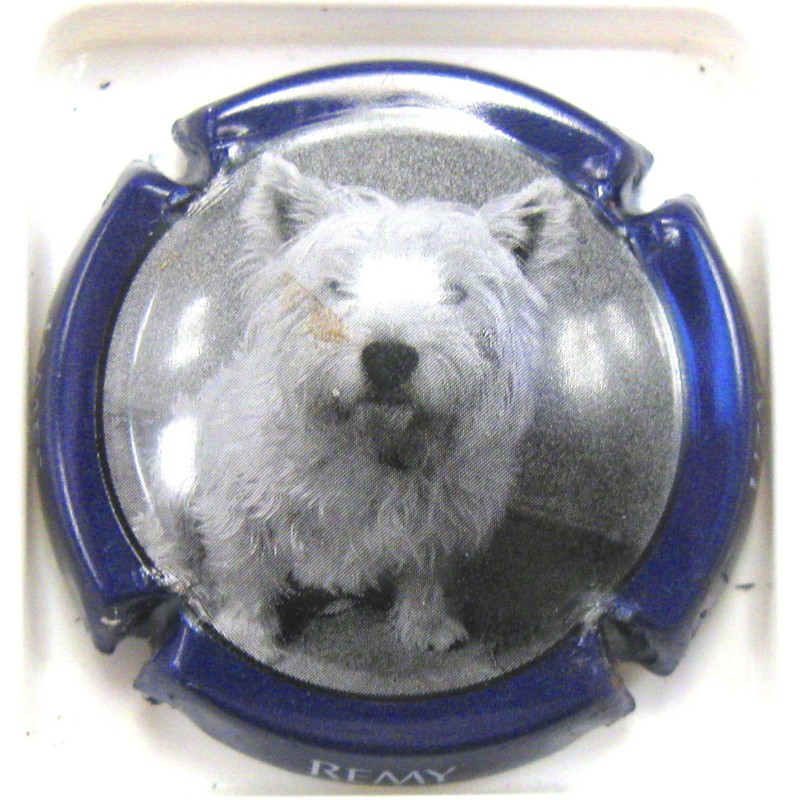 REMY-UZAC JAMES N°25A CONTOUR BLEU