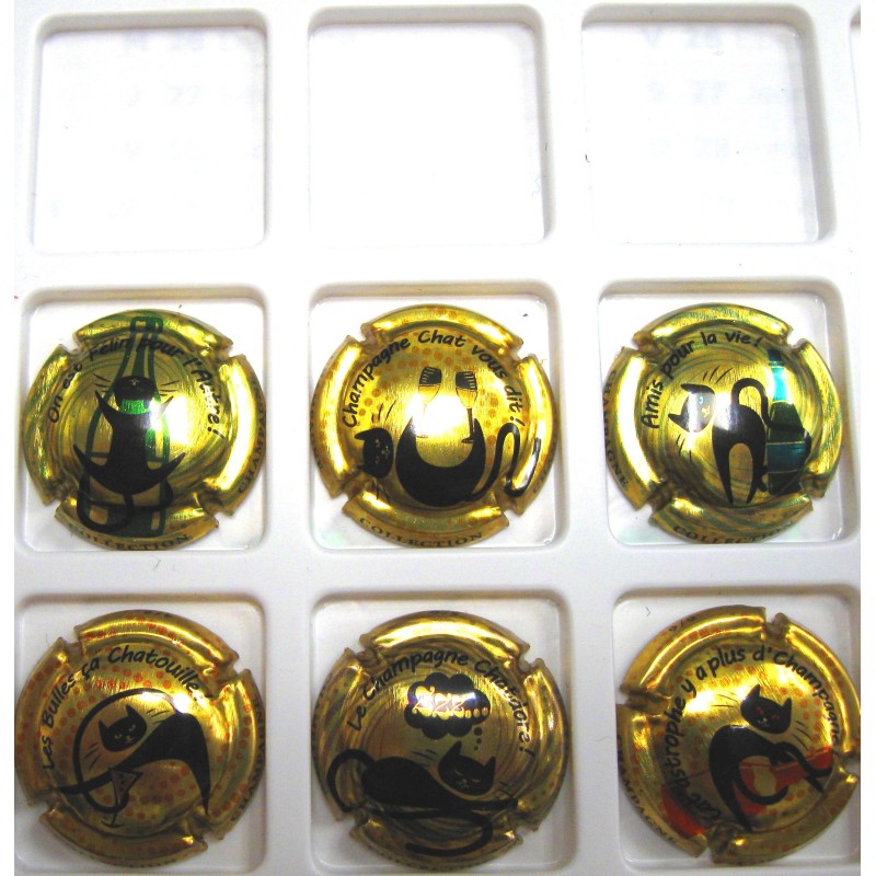 GENERIQUES CHAT ET CHAMPAGNE