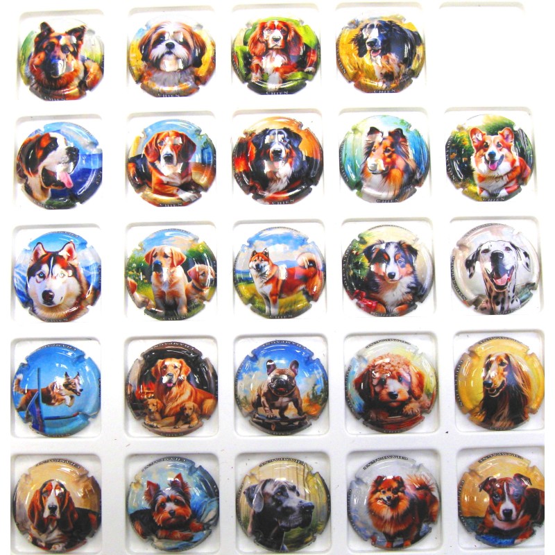 GENERIQUES LES CHIENS DE 1/24 A 24/24