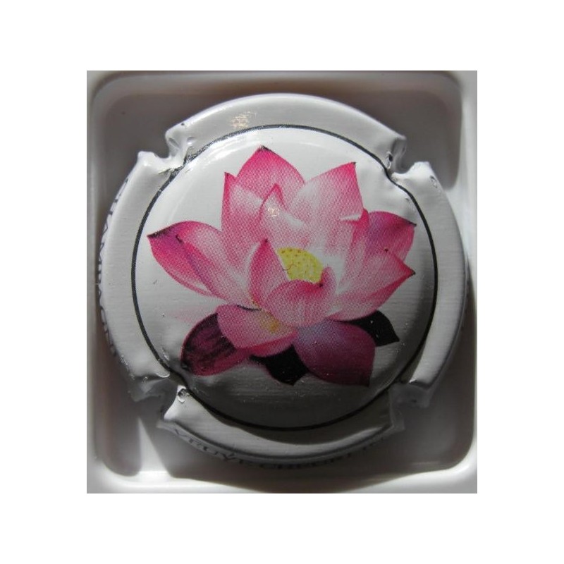 VVE CHEURLIN LE LOTUS